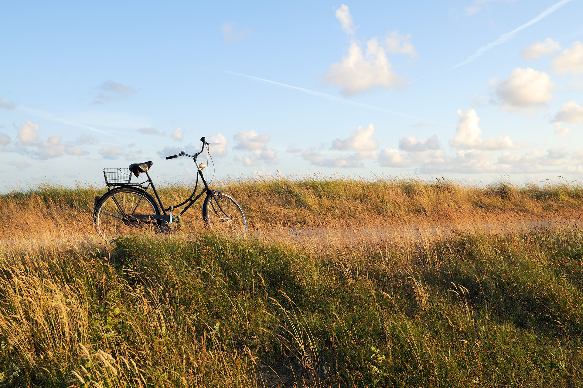 Ein schwarzes Damenrad mit Fahrradkorb auf dem Gepäckträger und altmodischem Vorderlampe parkt einsam auf einem Dünenweg