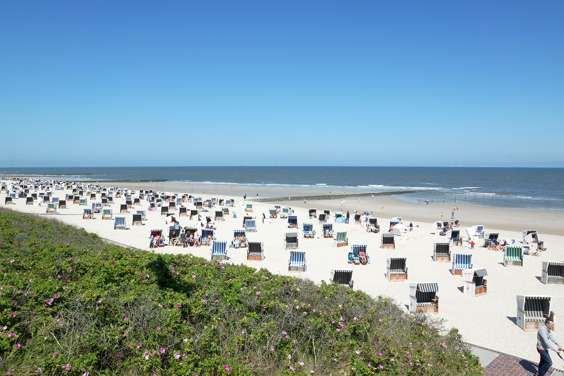 Blick auf den Strand von Wangerooge mit vielen Strandkörben.