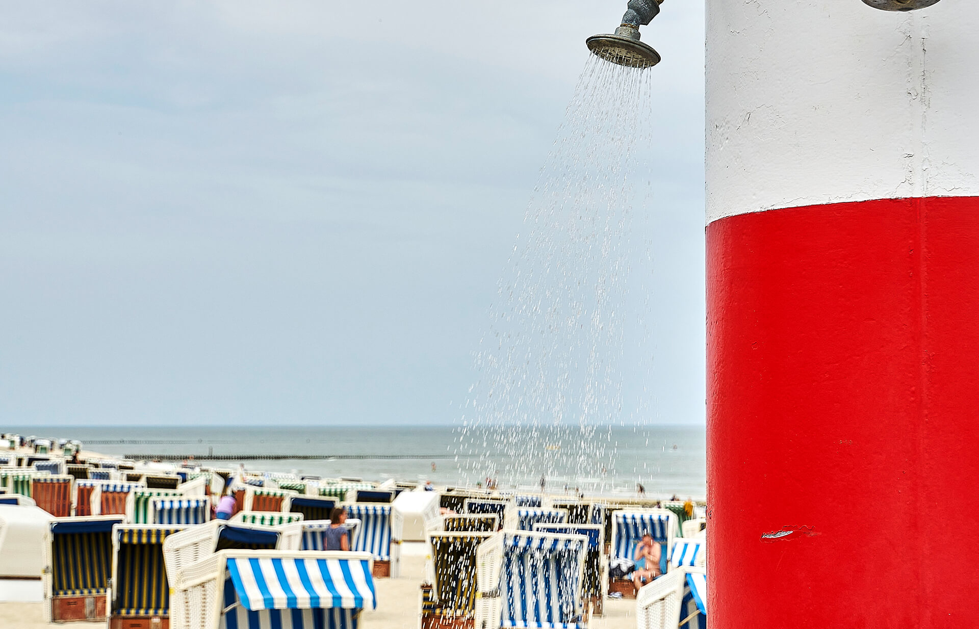 Abendstimmung auf Wangerooge mit einem Vogelschwarm
